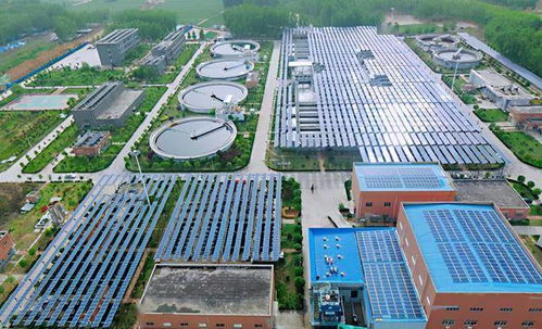 河南唯一入圍國企改革 雙百行動 的市級試點(diǎn) 這家企業(yè)是咋做到的