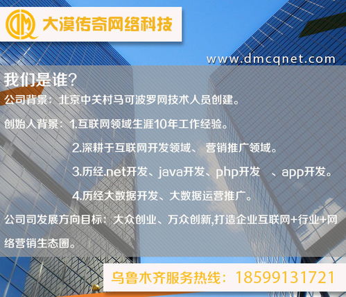 阿克蘇與烏魯木齊軟件開(kāi)發(fā)及運(yùn)行維護(hù)服務(wù) 技術(shù)賦能新疆?dāng)?shù)字化發(fā)展